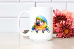 Colorful Baby Macaw | Smiling Watercolor Clipart Product Image 2