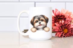 Cute Baby Havanese Over White Paper Product Image 2