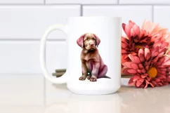 Cute Chesapeake Bay Retriever Clipart, Transparent PNG Product Image 2