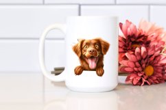 Crazy Chesapeake Bay Retriever Clipart Product Image 2