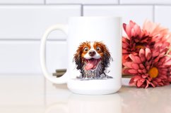 Crazy Looking Wet Furr | Clipart Product Image 2