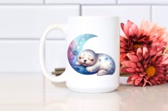 Colorful Cute Baby Seal Product Image 2