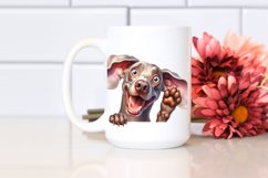 Crazy Looking Weimaraner | Sublimation Clipart Product Image 2