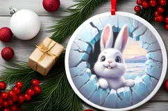 Icy Wall Rabbit Round Ornament Sublimation PNG Product Image 2