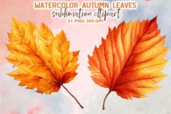 Watercolor Autumn Leaves Sublimation Clipart Product Image 2