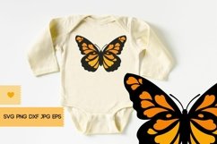 Butterfly SVG - Butterfly Clipart, Butterfly PNG Product Image 5