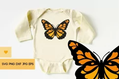 Butterfly SVG - Butterfly Clipart, Butterfly PNG Product Image 5