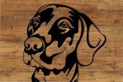 Weimaraner dog Bundle/Dog Svg/Png/Jpg/Ai/Weimaraner dog Cut Product Image 10