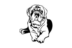 Mastife dog/Mom Mastife/Dog Svg/Png/Jpg/Ai/Vector pet Product Image 2