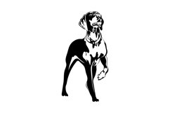 Redbone Coonhound SVG/Dog Svg/Png/Jpg/Ai/Purebred breed Svg Product Image 2