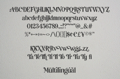 Widlething - modern serif font Product Image 2