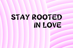 BELLA Product Image 3