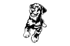 Cheerful AiredaleTerrier dog/Dog Svg/Png/Jpg/Ai/Vector pet Product Image 2
