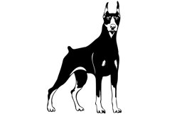 Doberman dog/Dog Svg/Png/Jpg/Ai/Vector purebred breed/Pet Product Image 2