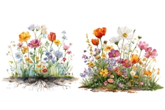 14 Watercolor Wildflower Clipart Bundle, Botanical Flowers Product Image 3