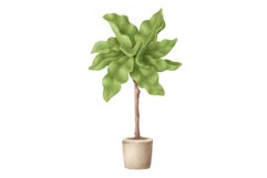 Potted Plants Product Image 1