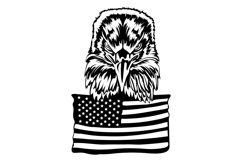 Eagle Svg/Png/Jpg/Ai/Vector birds/American flag with eagle Product Image 2