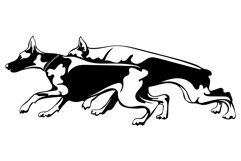 Doberman Bandle dog/Dog Svg/Png/Jpg/Ai/Vector purebred breed Product Image 2