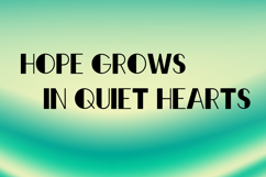 CAMILA Product Image 3