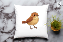 Cute Baby Robin Bird Clipart Sublimation PNG Product Image 2