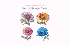 Retro Vintage Aster Clipart Product Image 2