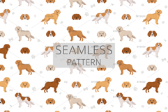 Golden Cavalier dog mix Product Image 6