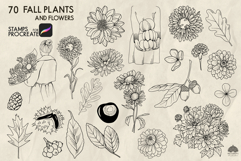 70 Fall plants and flowers Procreate stamp brush Product Image 2