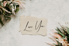 Blush A Script Font Product Image 3