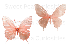 Butterfly, Ephemera, PNG, Junk Journal, clipart Product Image 2