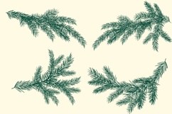 Christmas Pine Tree Branches SVG, PNG Clipart Product Image 2