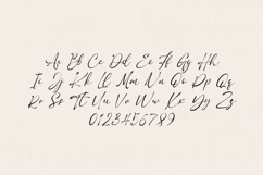 Obviate Script Font Modern Signature Handwritten Product Image 2