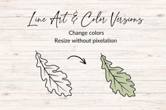 Hand Drawn Fall Leaf SVG Product Image 2