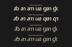 Vexane Editoral Logo fonts Product Image 2