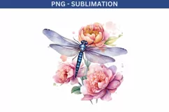 Dragonfly PNG Digital Downloads, Insect Illustration Product Image 2