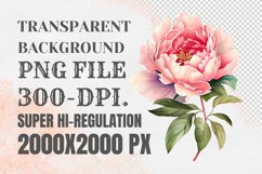 Watercolor Pink Peony Clipart Product Image 2