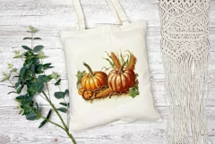 Vintage Fall Illustration PNG, Harvest Pumpkins Illustration Product Image 2