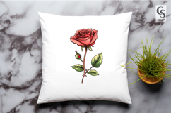 Red Rose Botanical Clipart Sublimation PNG Product Image 3