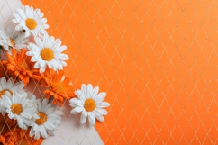 Chamomile Background, Orange Background Designs Product Image 2