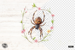 Spider Webs Clipart Product Image 1
