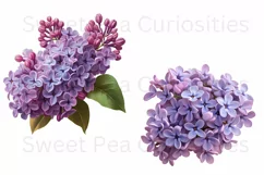 Flowers, Ephemera, Shabby Chic , PNG, Clipart Product Image 2