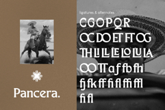 Merchad Serif Display Product Image 2