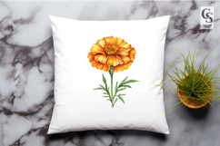 Watercolor Marigold Flower Clipart Sublimation PNG Product Image 2