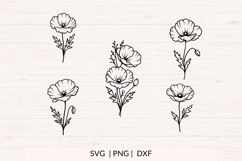 Poppies SVG Bundle | 10 Hand Drawn Floral Design Product Image 2