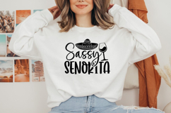 Cinco De Mayo SVG Bundle Product Image 2