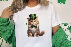 St Patricks Day Cats Clipar, Bundle, St Patricks Day Cats Product Image 3