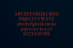 Flowrite Pitch Edition Modern Serif Font Product Image 2