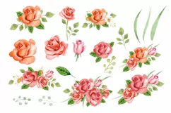 Watercolor bouquets of pink roses, Watercolor Digital Flower Product Image 4