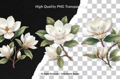 15 Bundle Watercolor Magnolia Floral White Flower Botanical Product Image 2