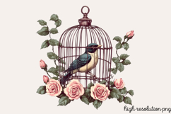 Summer Decorations Clipart PNG Product Image 1