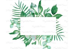 Tropical frame watercolor clipart PNG #w161 Product Image 3